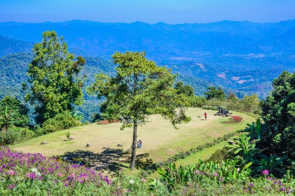 turismo, foresta, Alba, huai, viaggiatore, modello