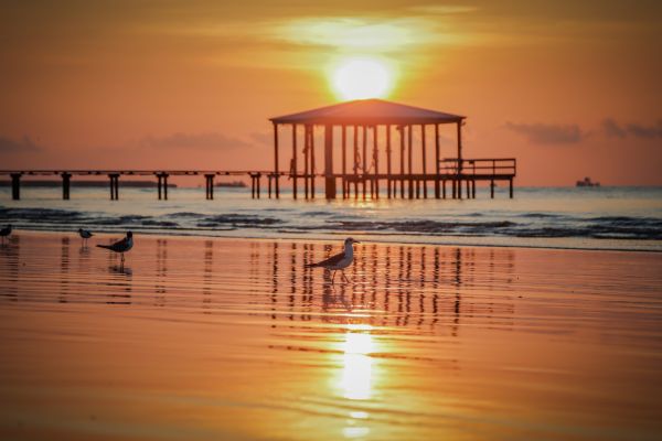 beach,shore,water,sky,outdoors,sunrise