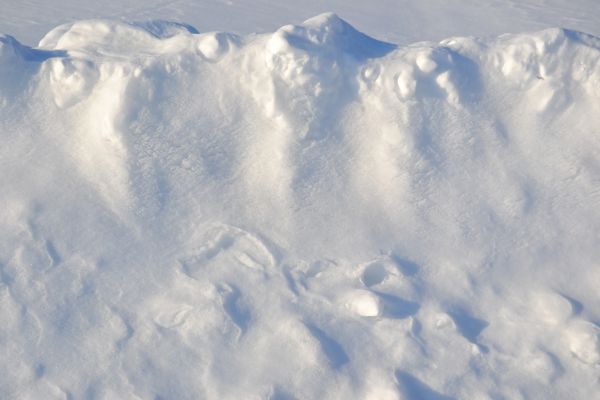 champ,hiver,neige,bord de la route,Neige,surface