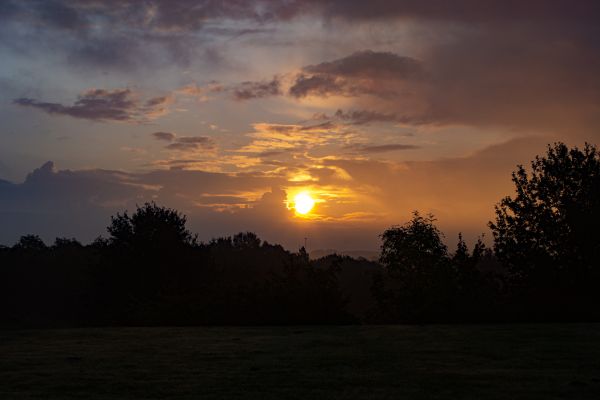 soluppgång, morgon-, moln, natur, moln, skies