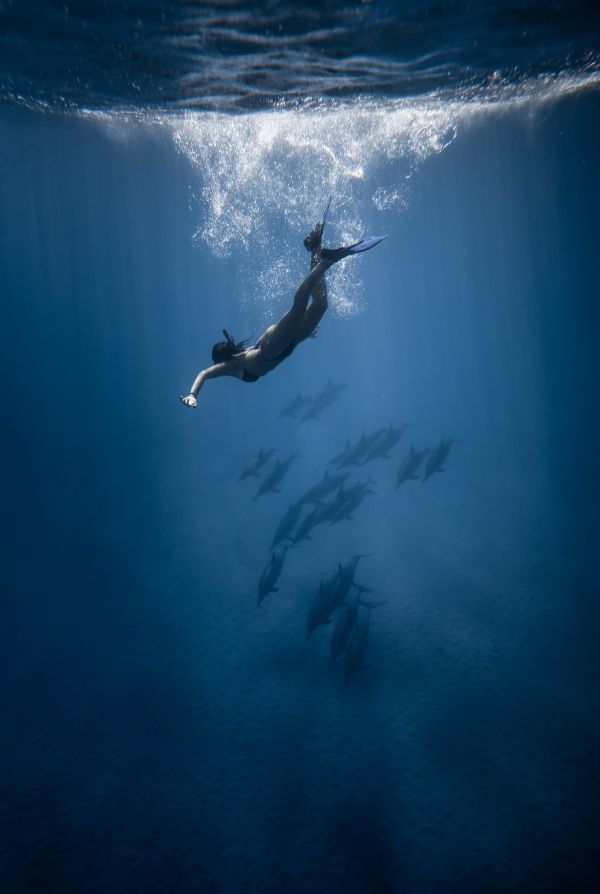 underwater,woman,fluid,liquid,underwater diving,swimfin