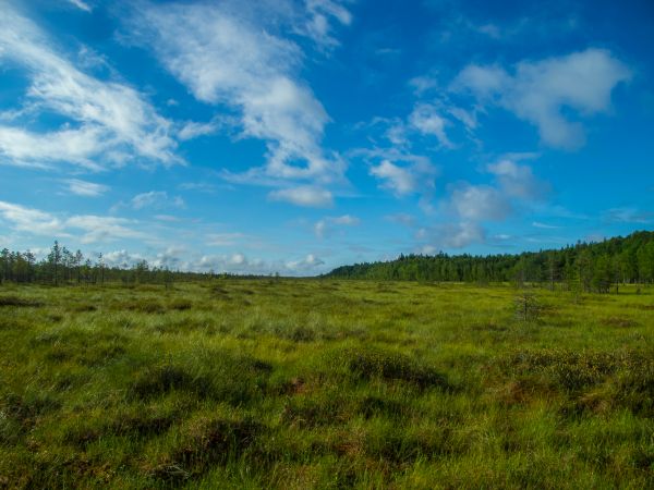 lučina, přírodní krajiny, nebe, přírodní prostředí, Příroda, obraz