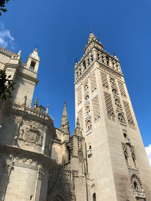 天空, 建造, 窗口, 安达卢西亚, Siviglia, cattedrale