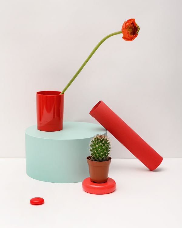 art,planta,líquido,florero,Drinkware,producto