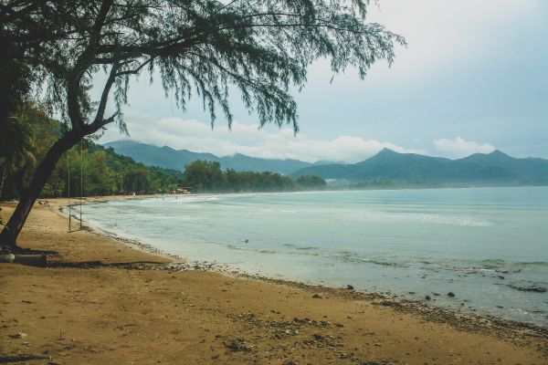 Thailand, Natur, tropisch, Meer, Insel, Landschaft