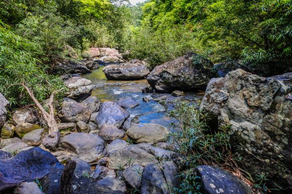 美容, 新鲜, 内, 景区, 惊人, 美丽