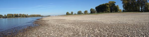 Rijn,rivier-,zomer,droogte,laagtij,water