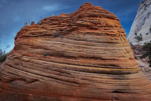 Gắn thẻ địa lý,Springdale,Hoa Kỳ,Hoa Kỳ,Utah,Zion Lodge