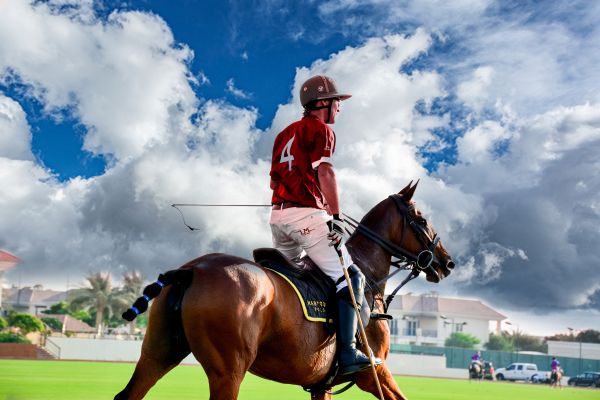 kvinne,hest,himmel,halter,Sky,polo