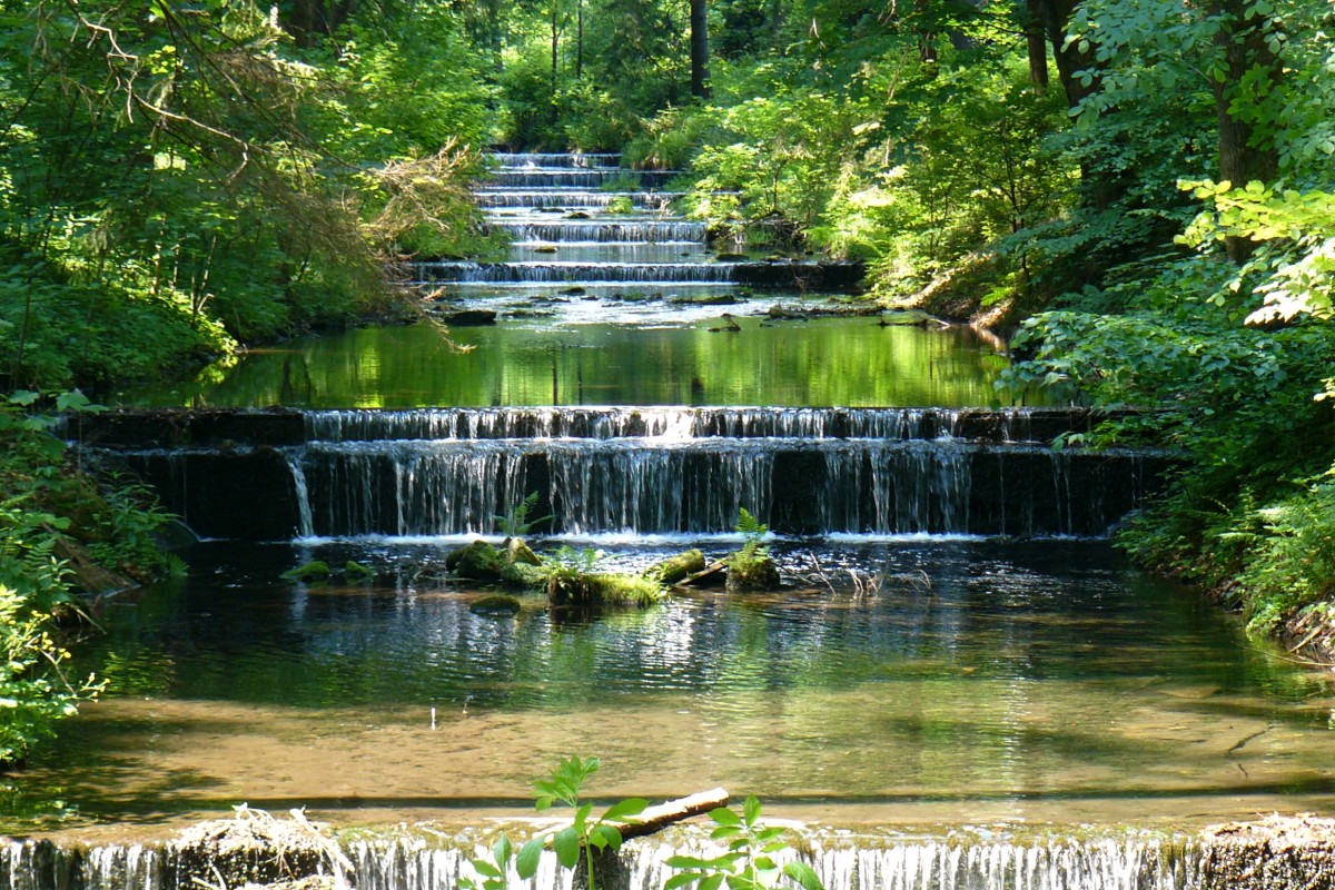 waterfalls, water, trees, forest, mirror, body of water, natural landscape, water resources, nature, nature reserve, vegetation, waterfall, watercourse, green, reflection, pond, tree, state park, stream, botany, wilderness, water feature, riparian forest, river, creek, garden, riparian zone, landscape, spring, botanical garden, plant, old growth forest, national park, lake, bank, sunlight, jungle, rainforest, valdivian temperate rain forest, woodland, wetland, fish pond, fluvial landforms of streams, shrub, reservoir, park, temperate broadleaf and mixed forest, landscaping