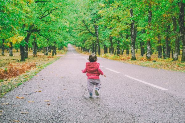 otoño,asfalto,avenida,bebé,belleza,niño