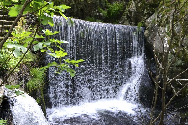 cascade, eau, ressources en eau, plan d'eau, les bois, forêt