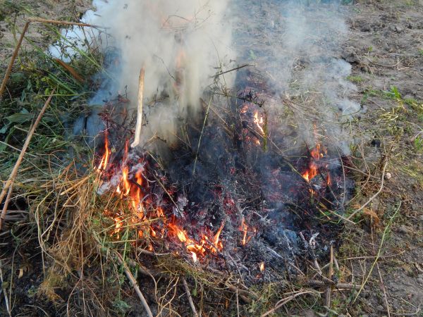 пожар, нощ, голям огън на открито, дърва за горене, оцеляване, ритуал