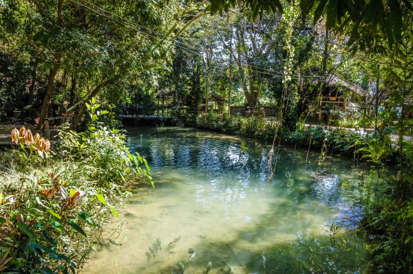 lagoa, floresta, espelho, brilhante, turismo, cenário