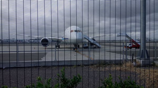 Sydney Airport,すべての日本通運,市街地,ケージ,動物相,鳥