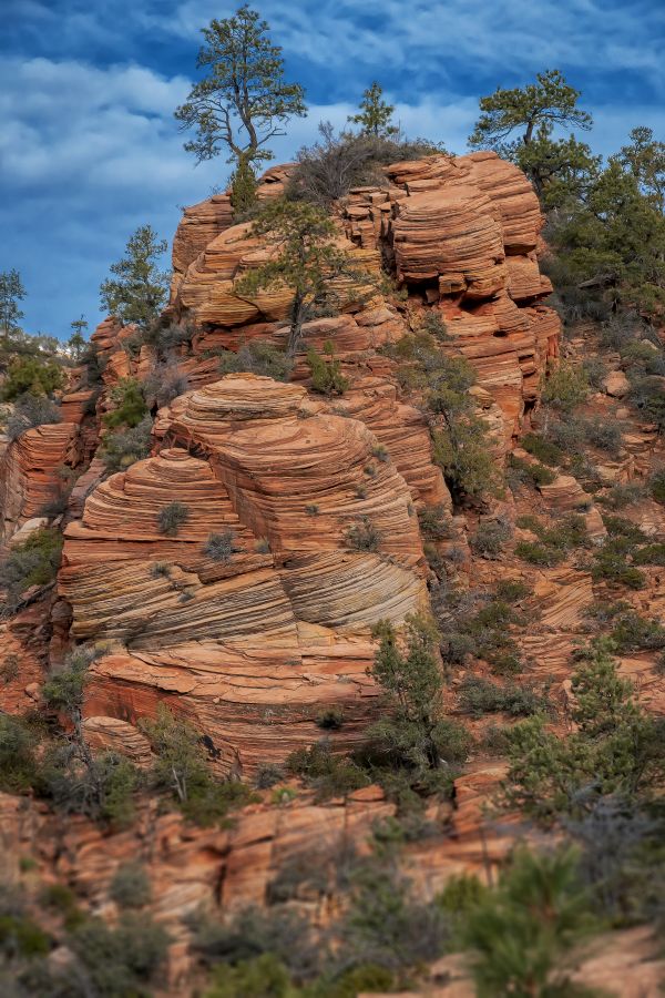 地理标记,Springdale,美国,美国,犹他州,Zion Lodge