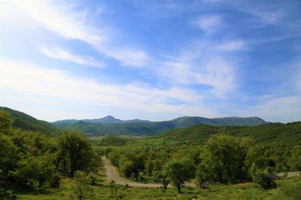 φύση, πράσινος, δάσος, δέντρο, βουνά, υψηλός