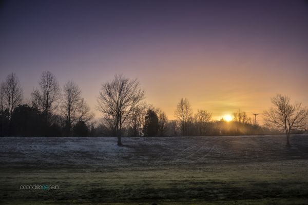 winter, sneeuw, hemel, natuur, koel, Noord Carolina