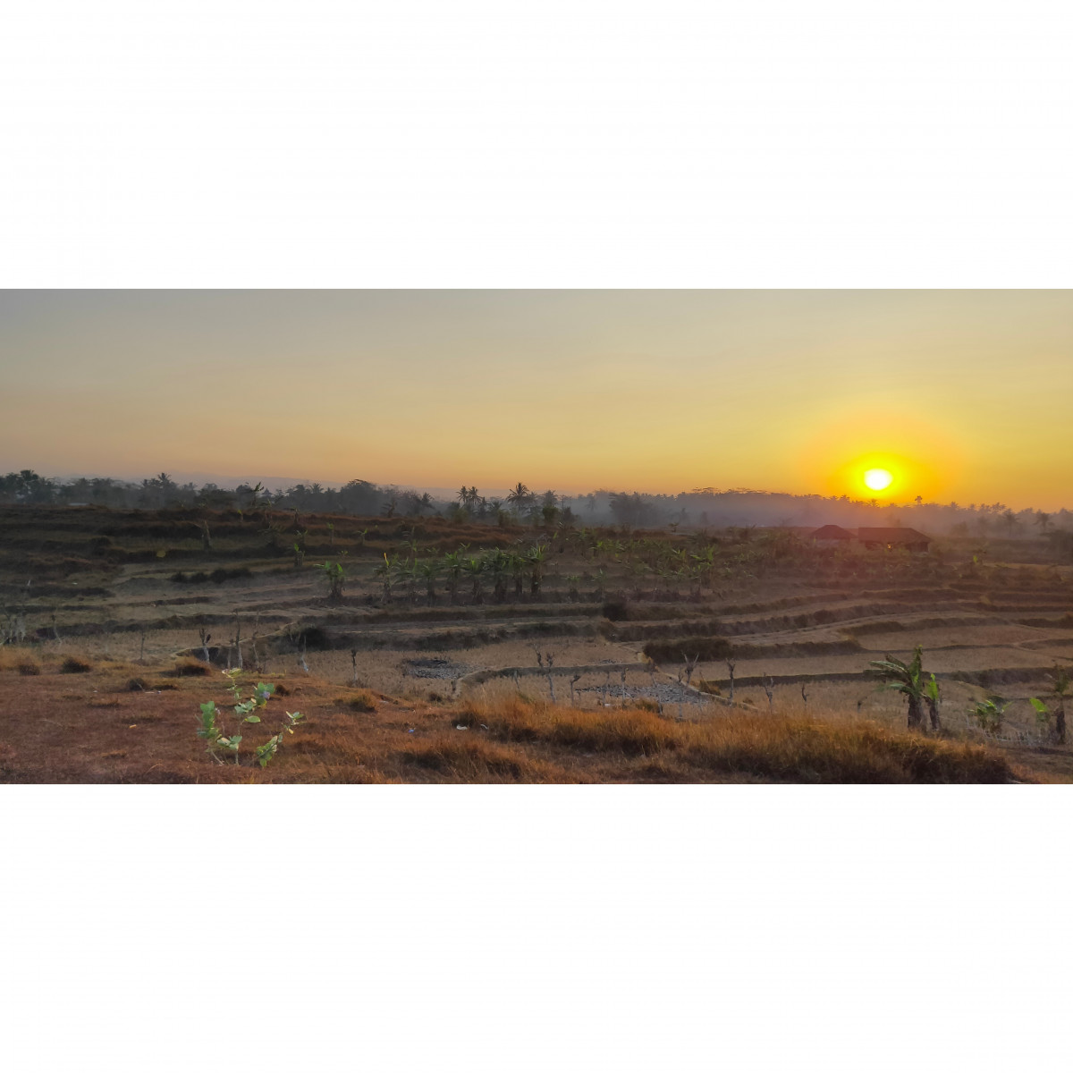 Strand, natürlich, Berg, Meer, Himmel, Natur, natürlichen Umgebung, Sonnenaufgang, Horizont, natürliche Landschaft, Sonnenuntergang, Ecoregion, Ebene, Morgen, Sonne, Grundstücke, Gras, Landschaft, Boden, Fotografie, Abend, Steppe, Prärie, Stock photography, Baum, Tierwelt, Feld, Sonnenlicht, Savanne, Pflanzengemeinschaft, Wiese, Wolke, Pflanze, Panorama, Dämmerung, Dämmerung, Nationalpark, Tundra