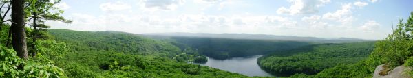 landskap,träd,vatten,natur,skog,gräs