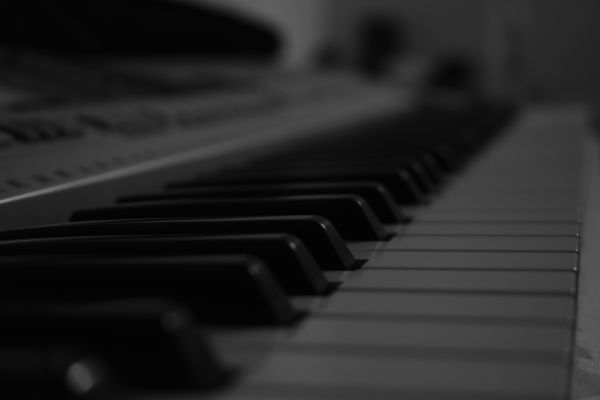 tastiera, pianoforte, nero, piano elettrico, bianco e nero, bw