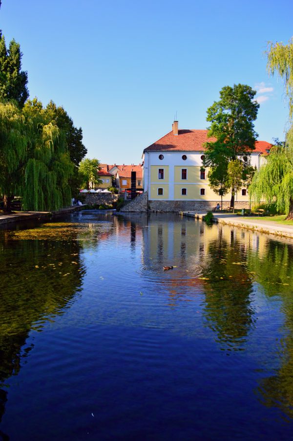 vijver, meer, water, reizen, molen, buitenshuis