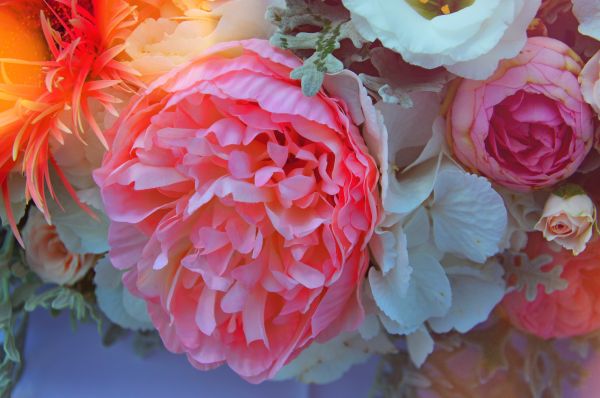 Boda, ramo, flor, rosado, color, hermosa