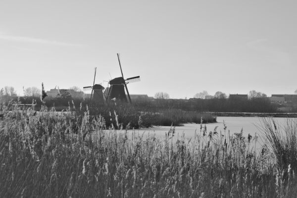 mølle, natur, vinter, snø, vann, is