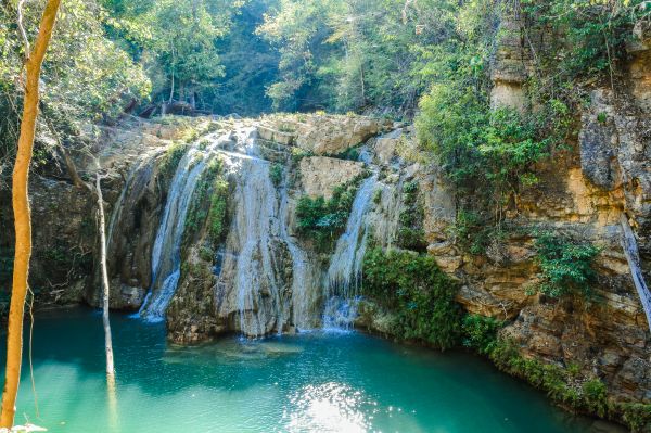 ความงาม, koh, ความสดใหม่, ภาคเหนือ, งดงาม, ฤดูใบไม้ผลิ