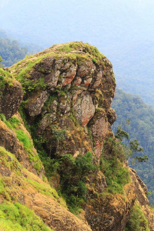 Munte,stâncă,vagamon,verde,vale,vegetație