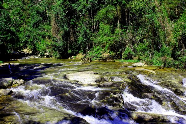 Rock, Landschaft, Reise, Natur, Wasserfall, Wald