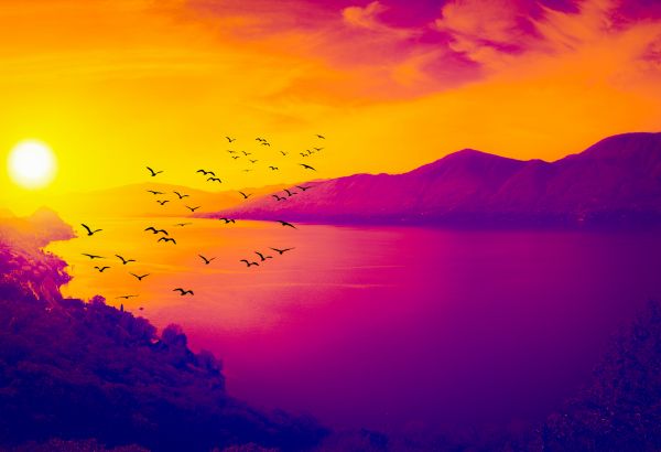 sea,mountain,fly,birds,clouds,migratory birds