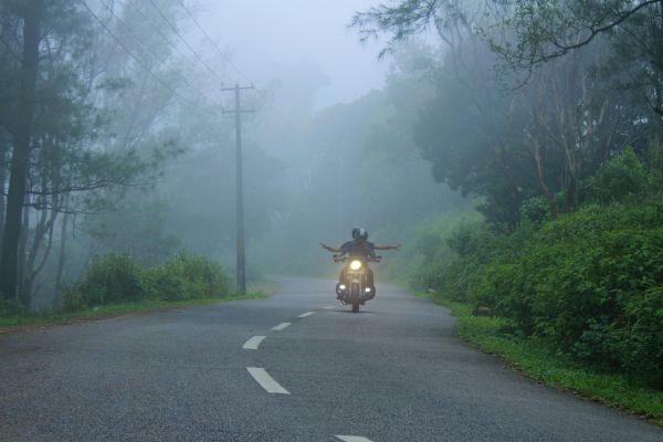 la carretera, niebla, niebla, naturaleza, camino neblinoso, Jinetes