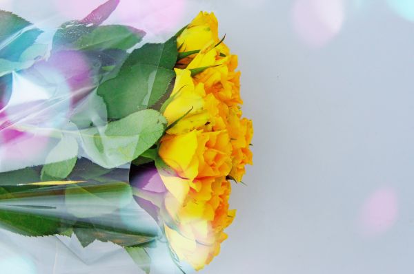 white, bouquet, background, yellow, cellophane, orange