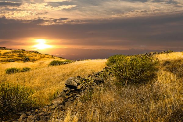 Sonnenuntergang, Himmel, natürliche Landschaft, Natur, Wiese, Vegetation