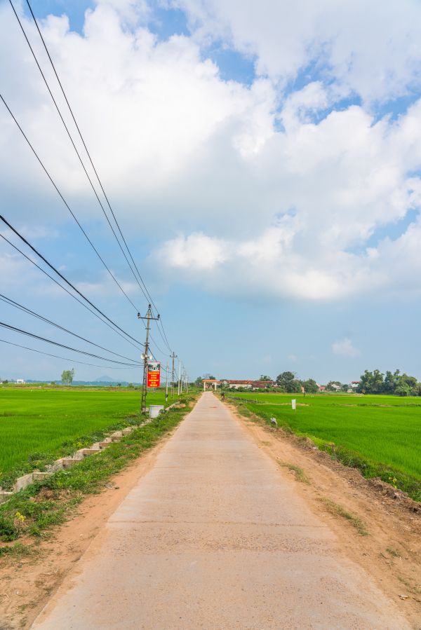 風景, 空, ベトナム, 道路, 水田, 雲