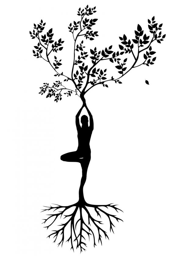 boom,silhouet,vrouw,yoga,meditatie,harmonie