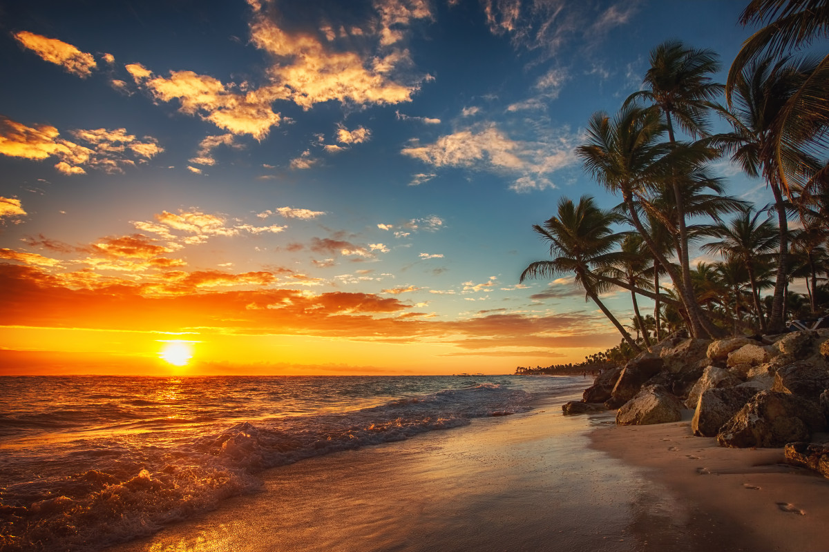 Punta, Cana, nascer do sol, de praia, Dominicano, viagem, árvore, ilha, costa, tropical, nuvem, areia, panorâmico, verão, dom, paraíso, Caribe, azul, trópico, Seascape, céu, Cênico, mar, agua, natureza, exótico, Cloudscape, Palma, república, panorama, oceano, Por do sol, cena, crepúsculo, dramático, laranja, manhã, onda, alvorecer, fundo, período de férias, bonita, ensolarado, turismo, feriado, recorrer, horizonte, luz solar, brilho do sol, Formas de relevo costeiras e oceânicas, âmbar, costa, Afterglow, tarde, São escalas, Trópicos, Céu vermelho na manhã, calma, Onda de vento, Palmeira, maré, Objeto astronômico, Banco de areia, baía, vento