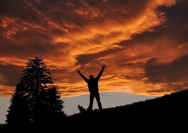 le coucher du soleil, ciel, lever du soleil, lumière, ombre, rouge