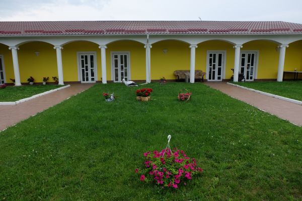 casa, planta, edificio, flor, cielo, Lote de tierra