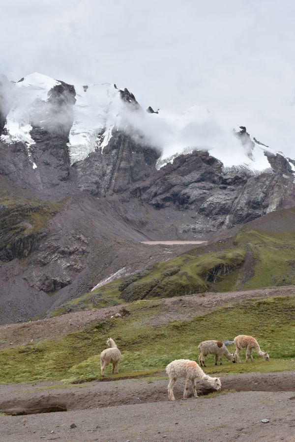 mountainous landforms, mountain, peru, trekking, highland, pasture