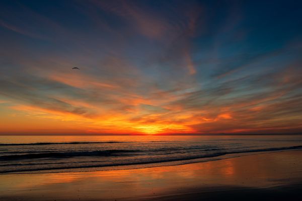 Sonnenuntergang,Himmel,Horizont,Sonnenuntergang,Meer,Nachglühen