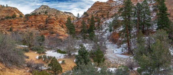 geotaggad,Springdale,Förenta staterna,usa,Utah,Zion Lodge