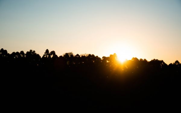 puesta de sol, naturaleza, cielo, campo, paisaje, césped