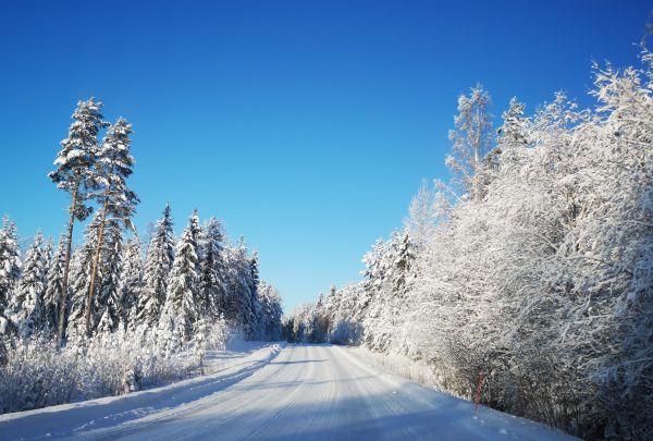 road,sky,tree,snow,finland,winter