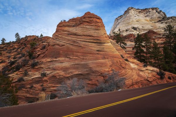 geotaggad,Springdale,Förenta staterna,usa,Utah,Zion Lodge