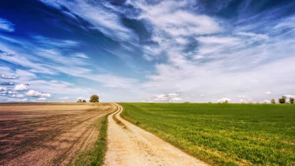 natural,sky,natural landscape,nature,field,grassland