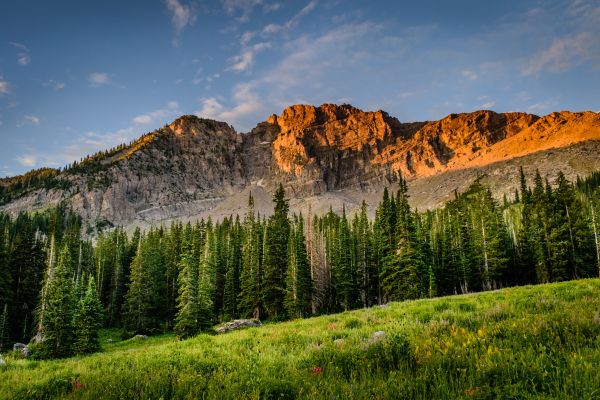 gunung, alam, awan, menanam, langit, larch