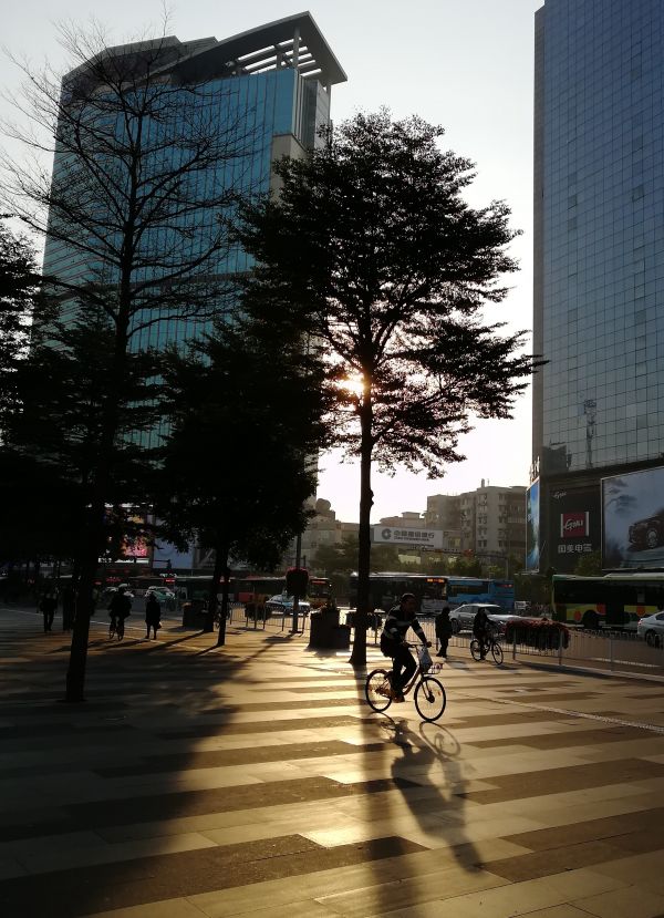 rua, manhã, luz solar, sombra, vida urbana, Polvilhar