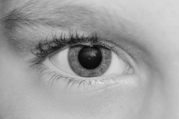 view, beauty, macro, human, eye, iris